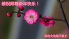 ֹ,ӱ󷨵ӹףʦ(20)