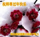 ֹ,󷨵ӹףʦ(22)