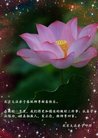 ֹ,󷨵ӹףʦ(18)