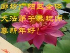 ֹ,ȷ󷨵ӹףʦ(20)