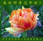 ���ֹ�,�����󷨵��ӹ�ףʦ�������(20��)