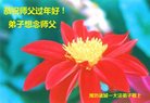 ֹ,Ϋ󷨵ӹףʦ(22)