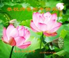 ֹ,ൺ󷨵ӹףʦ(23)