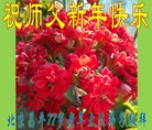 ֹ,󷨵ӹףʦ(21)