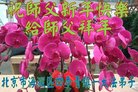 ֹ,󷨵ӹףʦ(21)