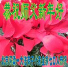ֹ,󷨵ӹףʦ(21)