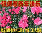 ֹ,󷨵ӹףʦ(21)