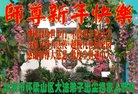 ֹ,󷨵ӹףʦ(21)