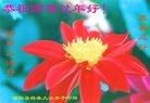 ֹ,Ϋ󷨵ӹףʦ(21)