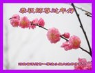 ֹ,󷨵ӹףʦ(24)