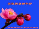 ֹ,󷨵ӹףʦ(24)
