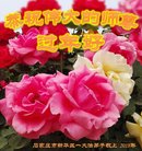 ֹ,ʯׯ󷨵ӹףʦ(25)