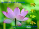 ֹ,żҿڴ󷨵ӹףʦ(22)