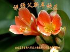 ֹ,󷨵ӹףʦ(24)