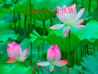 ֹ,ݴ󷨵ӹףʦ(25)