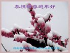 ֹ,ȷ󷨵ӹףʦ(24)