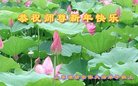 ֹ,Ϋ󷨵ӹףʦ(28)