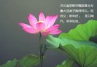 ֹ,ӱ󷨵ӹףʦ(24)