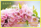 ֹ,żҿڴ󷨵ӹףʦ(22)