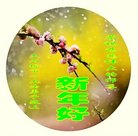 ���ֹ�,�����󷨵��ӹ�ףʦ�������(19��)