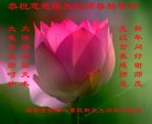 ֹ,ȷ󷨵ӹףʦ(24)