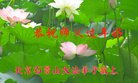ֹ,󷨵ӹףʦ(23)