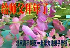 ֹ,󷨵ӹףʦ(27)