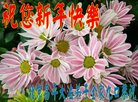 ֹ,󷨵ӹףʦ(26)