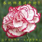 ���ֹ�,�����󷨵��ӹ�ףʦ�������(27��)