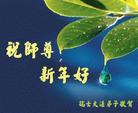 Published on 1/1/2003 Falun Dafa Practitioners from Europe Respectfully Wish Master a Happy New Year 