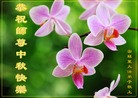 Published on 9/12/2011 ֹ,󷨵ӹףʦ - ִ
