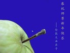 Published on 1/23/2012 ֹ,ŷ޴󷨵ӹףʦ - ִ
