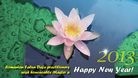 Published on 1/1/2013 ֹ,ŷ޴󷨵ӹףʦ
