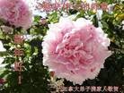 Published on 1/1/2013 ֹ,޴󷨵ӹףʦ

