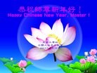 Published on 2/9/2013 ֹ,ŦԼѳǵȵش󷨵Ӹʦ꣨11
