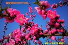 ֹ,󷨵ӹףʦ(23)
