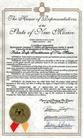 Published on 2/20/2003 Certificate Recognizing Falun Dafa Practitioners from the New Mexico House of Representatives [2003]
