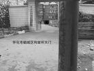 Published on 5/10/2010 ֹ,һʮմ½ۺϢһ - ִ - minghui.org