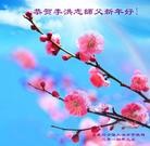 Published on 12/31/2013 ֹ,ӱ󷨵ӹףʦԪ(22)
