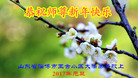 Published on 1/26/2017 ֹ,½󷨵ӹףʦ(26)