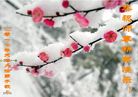 Published on 1/26/2017 ֹ,½󷨵ӹףʦ(26)