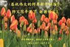 Published on 1/26/2017 ֹ,½󷨵ӹףʦ(26)