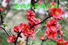 Published on 1/26/2017 ֹ,½󷨵ӹףʦ(26)