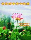 Published on 1/26/2017 ֹ,½󷨵ӹףʦ(26)