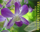 Published on 1/26/2017 ֹ,½󷨵ӹףʦ(26)