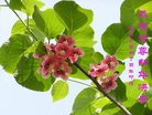 Published on 1/26/2017 ֹ,½󷨵ӹףʦ(26)