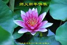 Published on 1/26/2017 ֹ,½󷨵ӹףʦ(26)