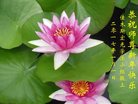 Published on 1/26/2017 ֹ,½󷨵ӹףʦ(26)