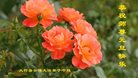 Published on 1/26/2017 ֹ,½󷨵ӹףʦ(26)