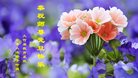 Published on 1/26/2017 ֹ,½󷨵ӹףʦ(26)